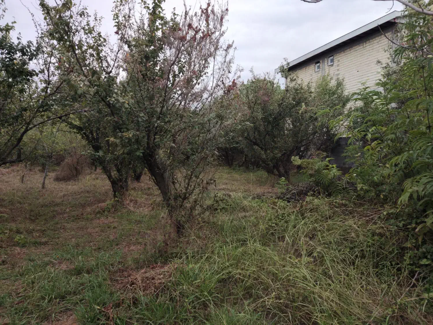 500 متر زمین مسکونی|فروش زمین و ملک کلنگی|رضوانشهر, |دیوار