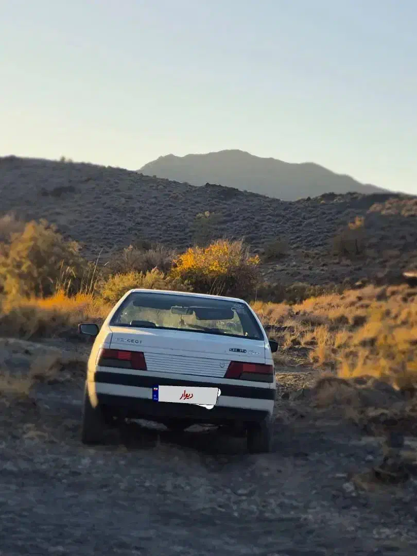 پژو اردی|خودرو سواری و وانت|زاهدان, |دیوار