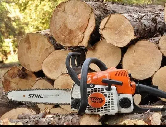 خرید تخصصی چوب درختان همراه بابرش رایگان در لرستان|خدمات باغبانی و درختکاری|خرمآباد, |دیوار