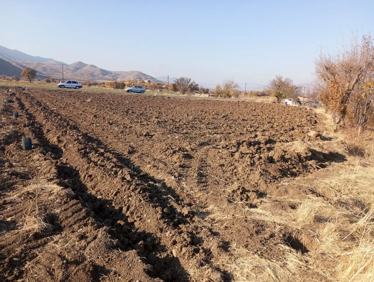 ۱۰۰۰متر مربع زمین کشاورزی کال|فروش زمین و ملک کلنگی|مریوان, |دیوار