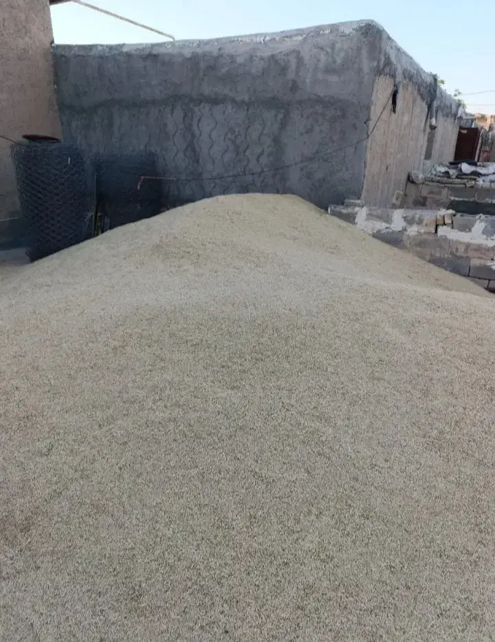 خرید فروش  محصولات کشاورزی|عمده‌فروشی|شیراز, پادگان نیروی هوایی بعثت|دیوار