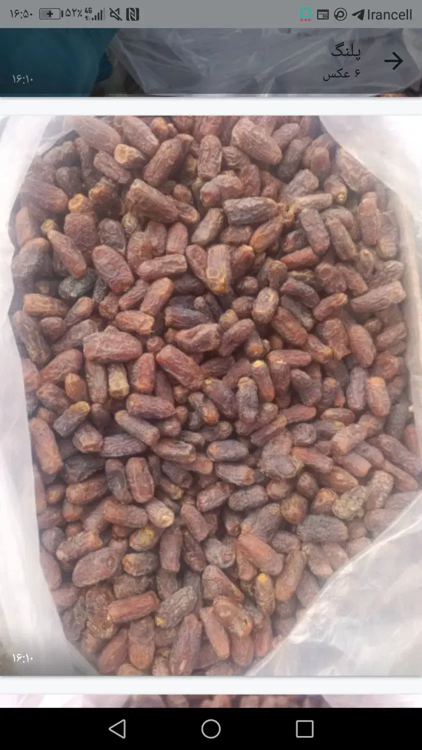 خرما|خوردنی و آشامیدنی|طرقبه, |دیوار