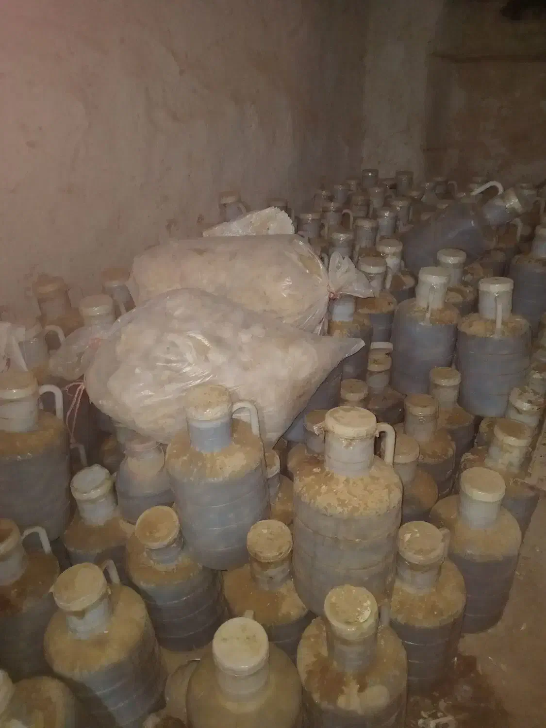 خیار|خوردنی و آشامیدنی|شیروان (خراسان), |دیوار