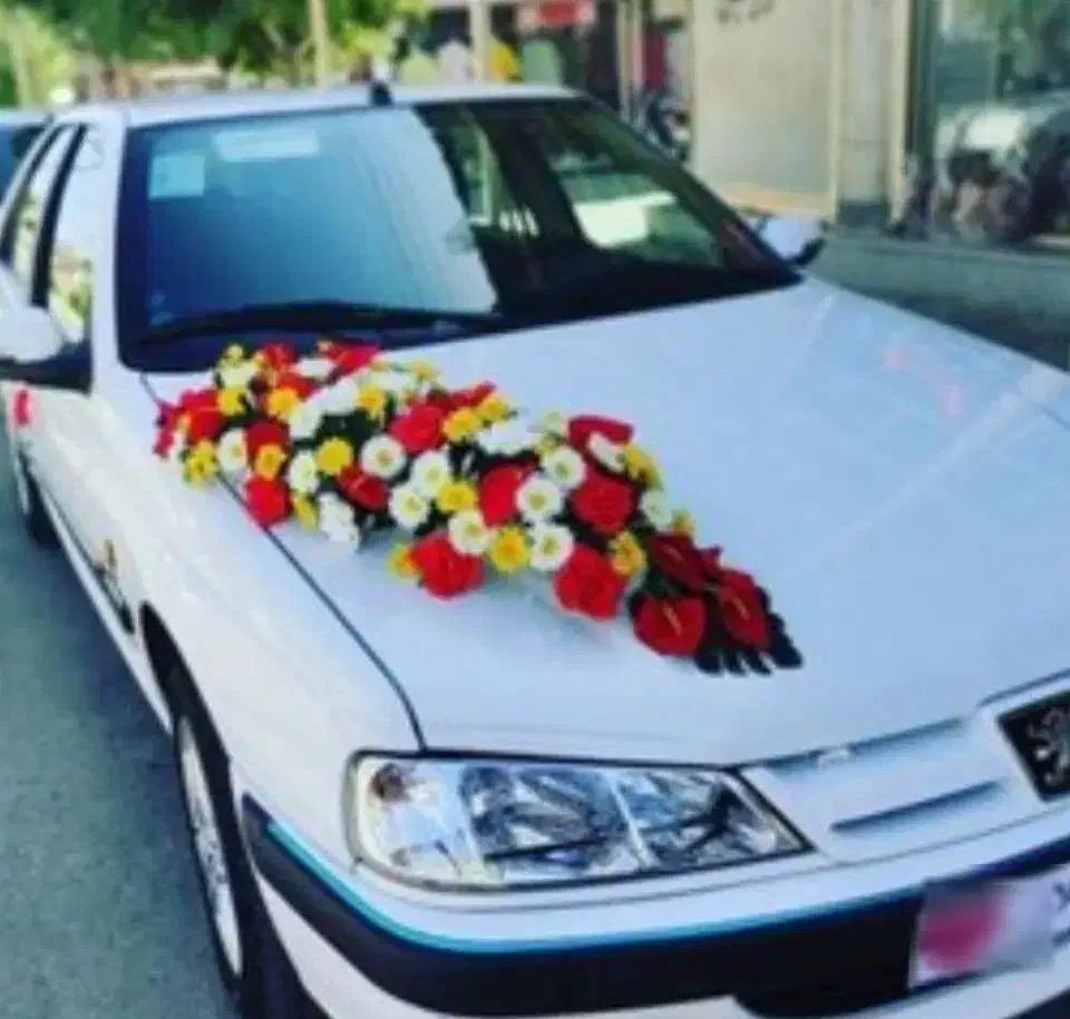اجاره ماشین عروس با راننده|خودرو اجاره‌ای|قم, چهار مردان|دیوار