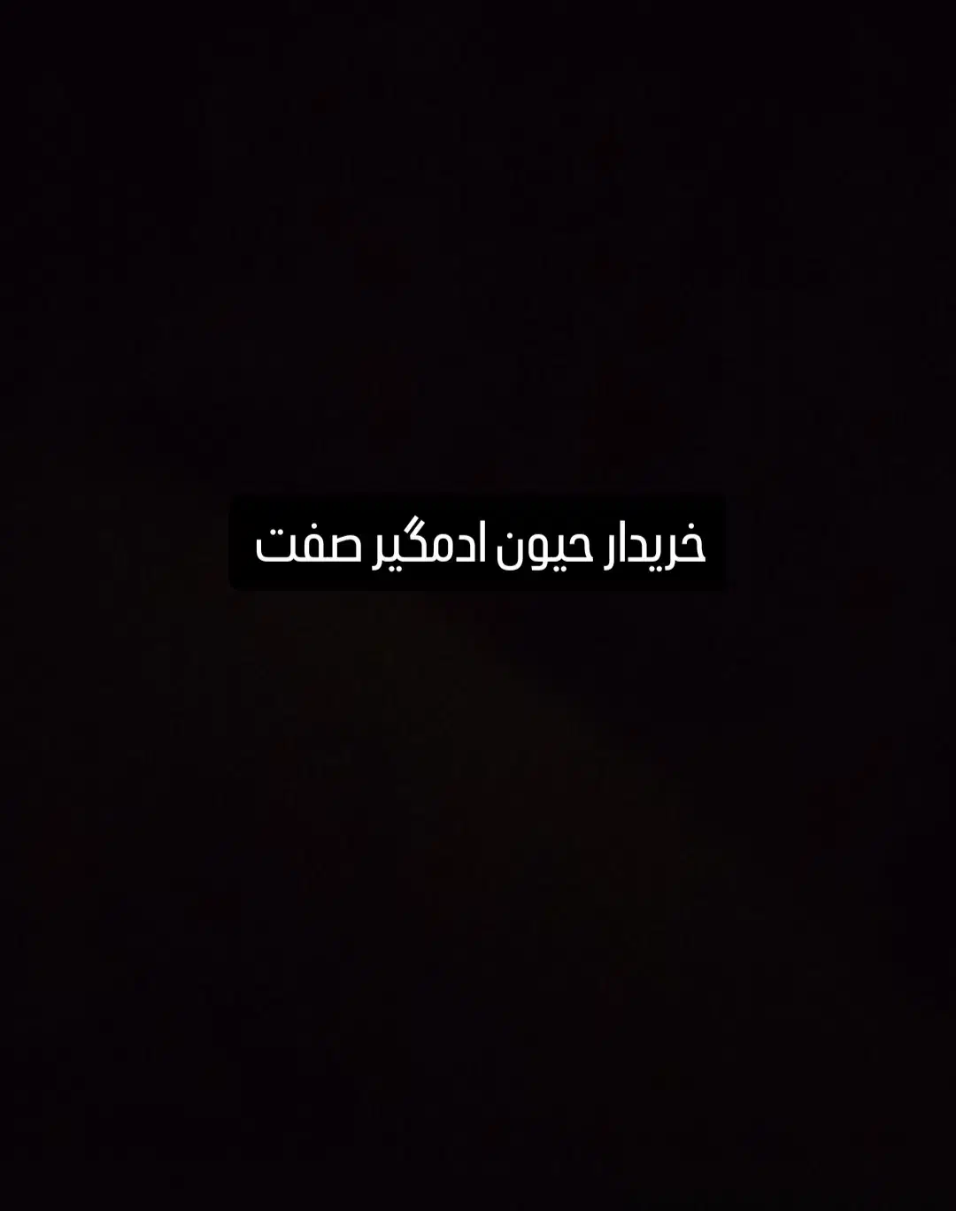 حیوانات و لوازم|سگ|ملایر, |دیوار