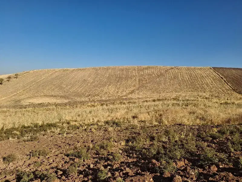 زمین کشاورزی دیم توافقی|فروش زمین و ملک کلنگی|روانسر, |دیوار