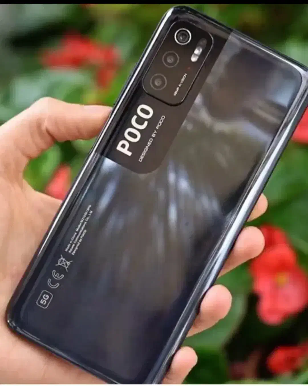 گوشی پکو ام سه پروفایوجی|موبایل|قشلاق دشت, |دیوار