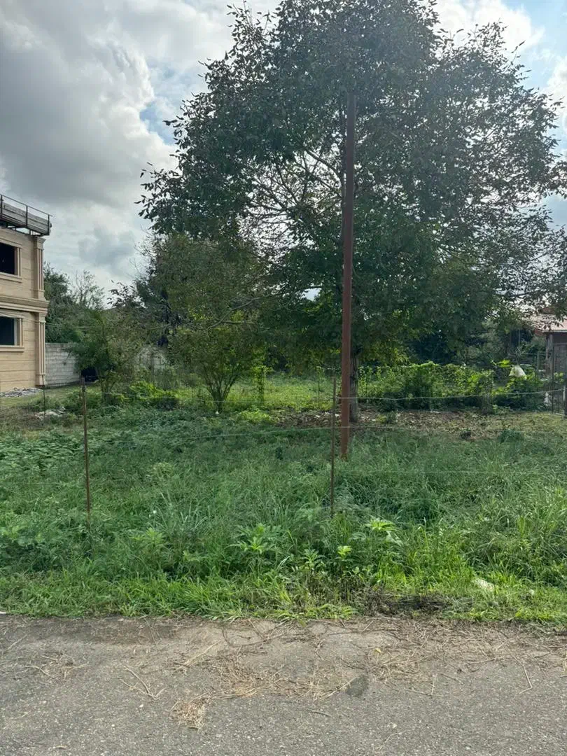 ۲۱۴ متر پروانه دار سه بر جای  لوکس|فروش زمین و ملک کلنگی|املش, |دیوار