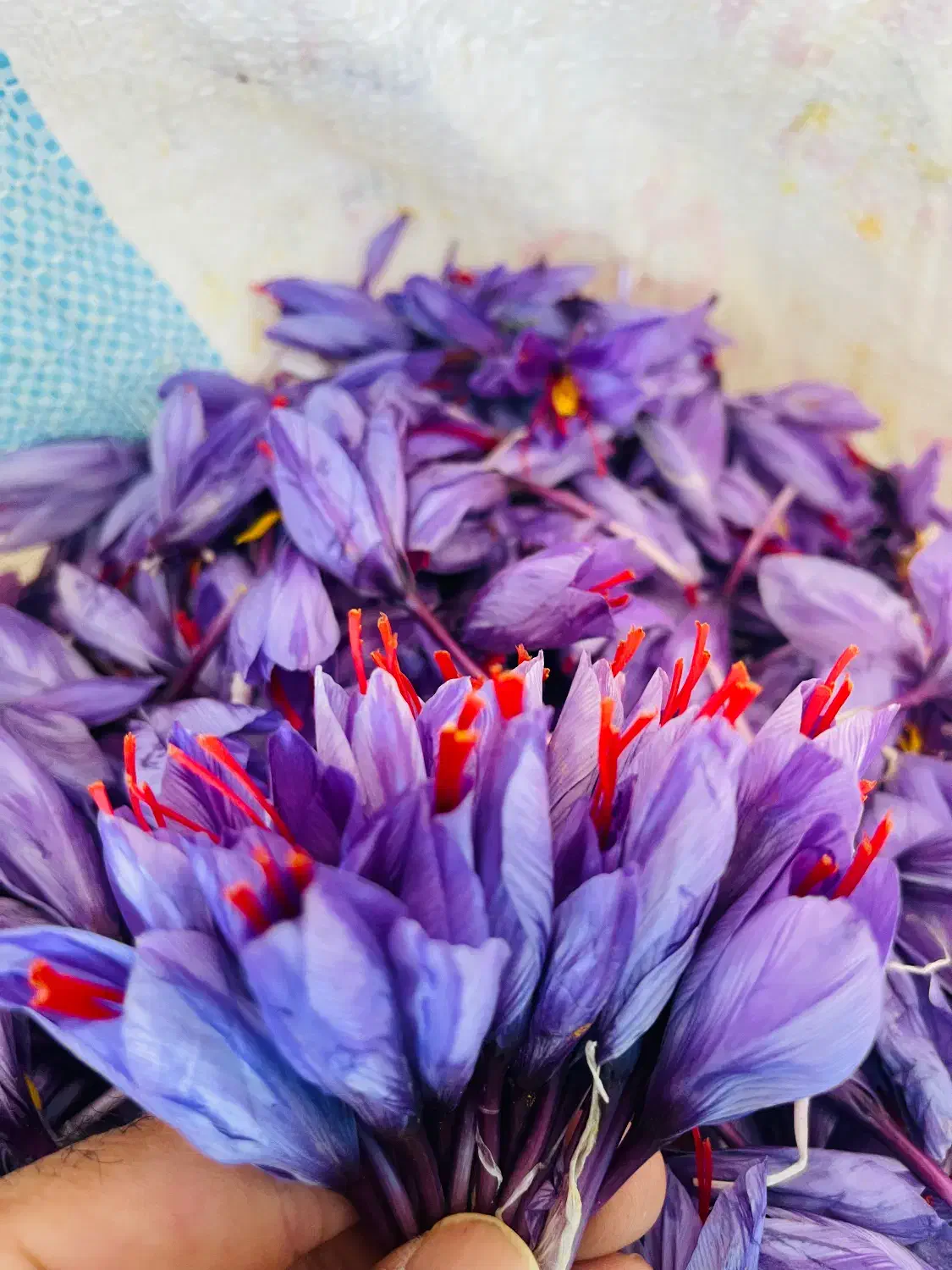 استخدام نیروی پاک گر گل زعفران|استخدام خدمات فروشگاه و رستوران|قائن, |دیوار