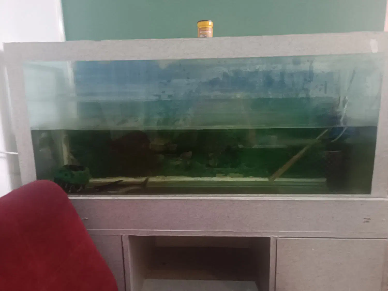 آکواریوم با ماهی معاوضه فقط با پرنده ومرغ یا فروش|ماهی|کرج, چهارصد دستگاه|دیوار