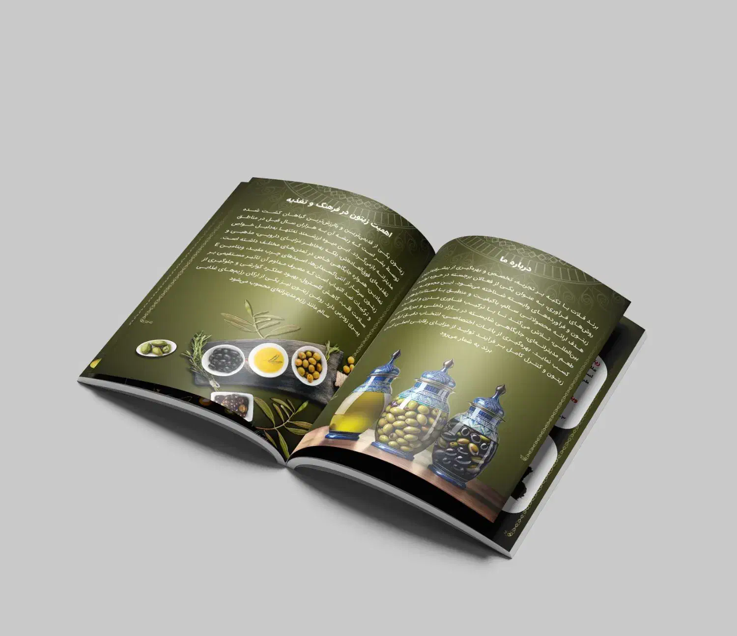 طراحی اختصاصی حرفه ای خاص کاتالوگ بروشور برندبوک|خدمات رایانه‌ای و موبایل|تهران, فردوسی|دیوار