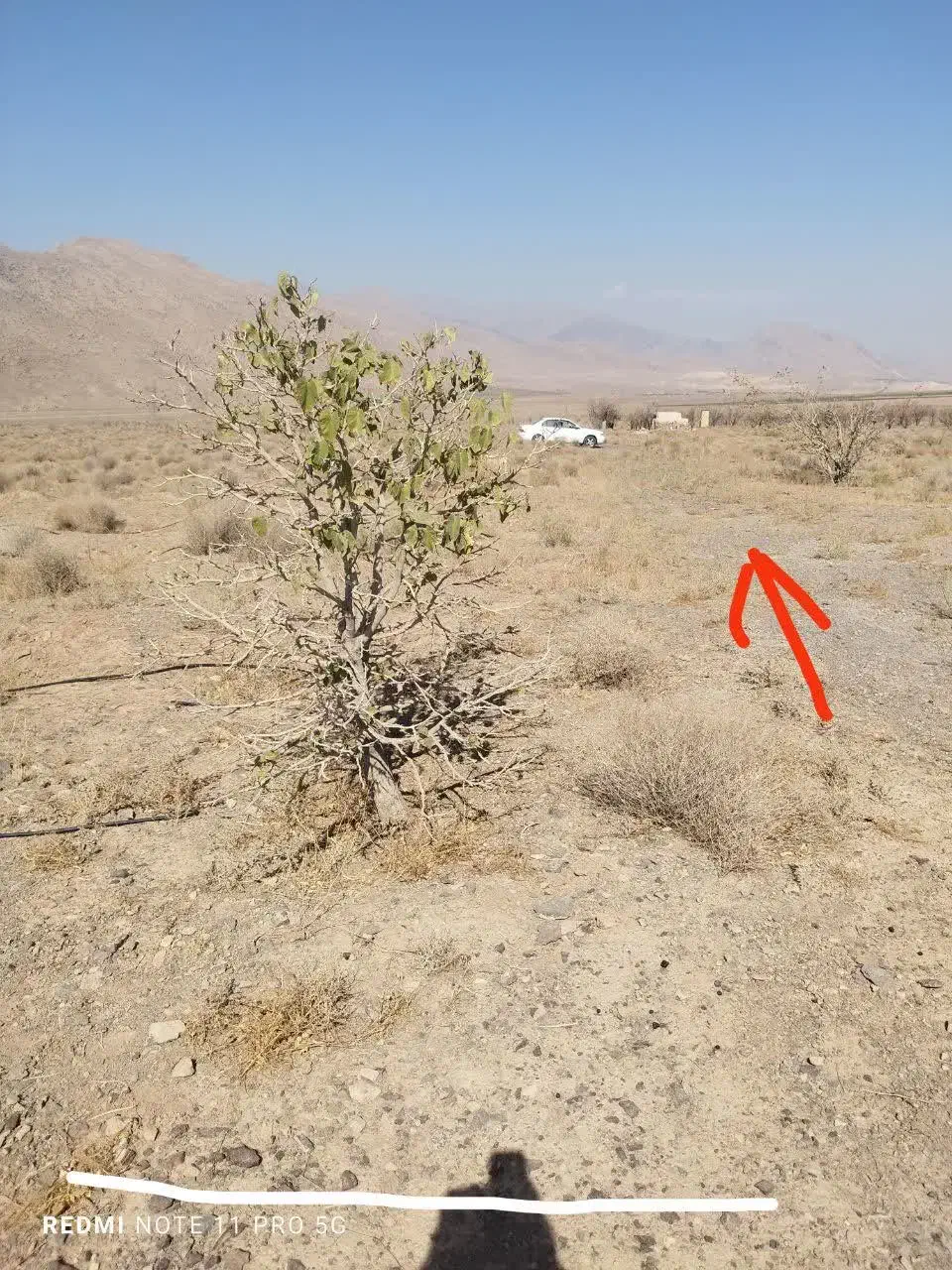 4750متر 400هکتاری برزک|فروش زمین و ملک کلنگی|برزک, |دیوار