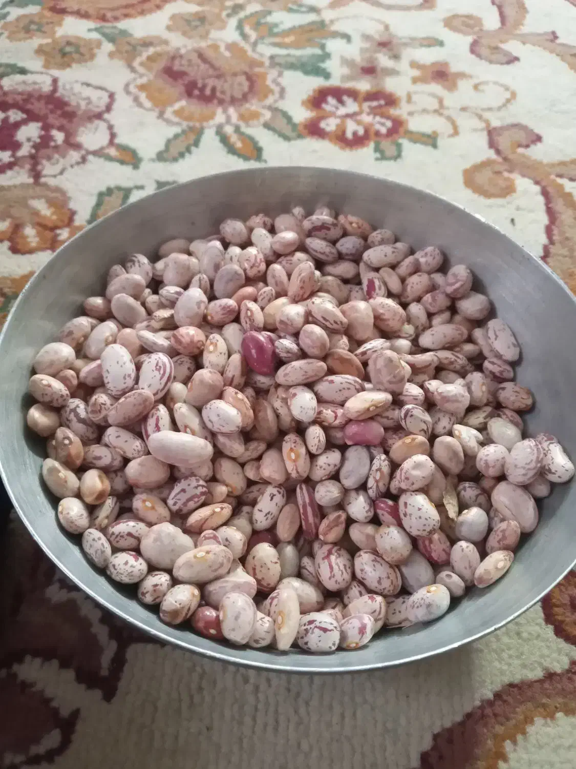 فروش لوبیا چیتی دریجه یک کیلویی ۳۸۰ تومن|عمدهفروشی|بسطام, |دیوار