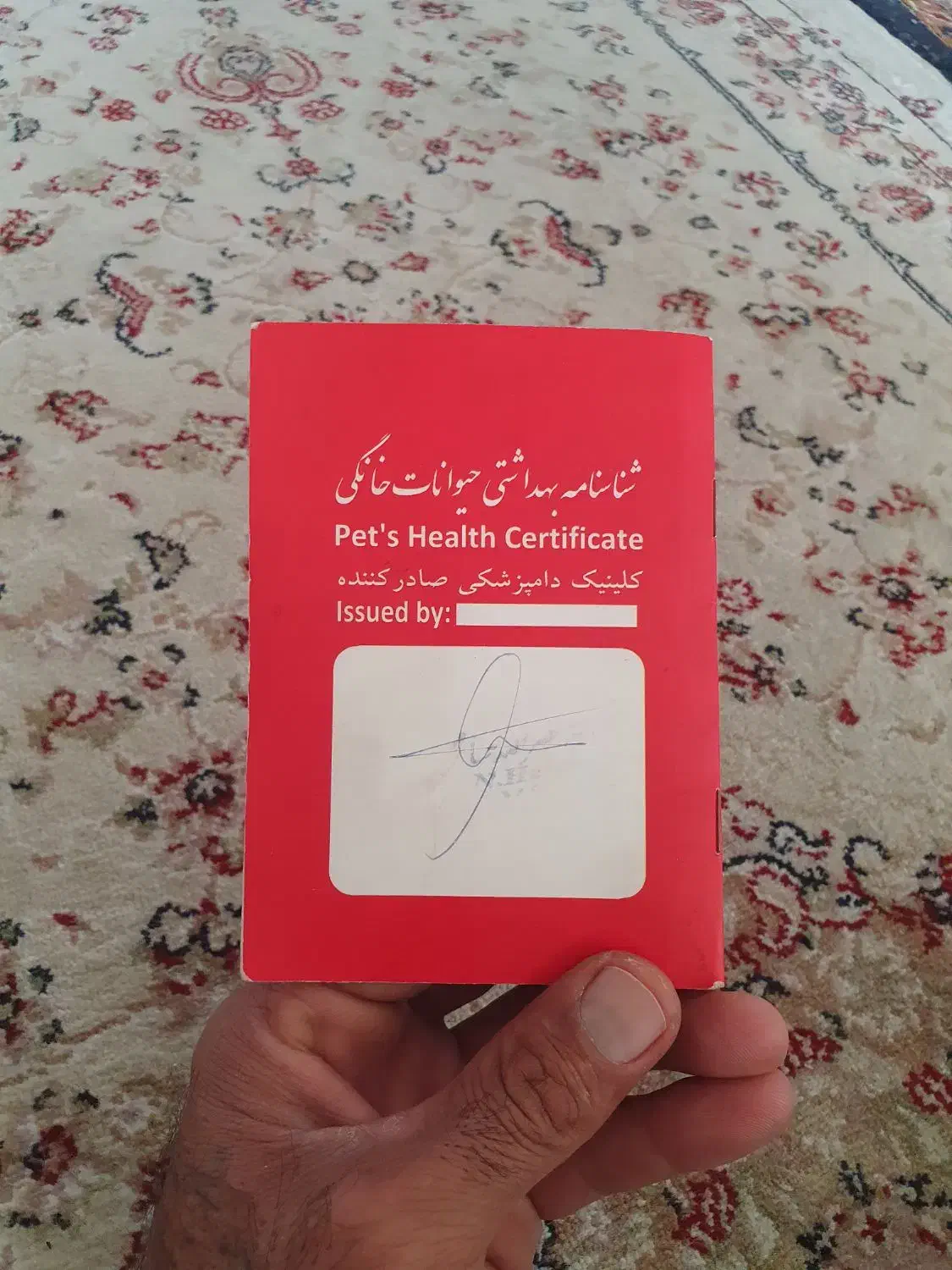 سگ خانگی|سگ|کرمانشاه, |دیوار