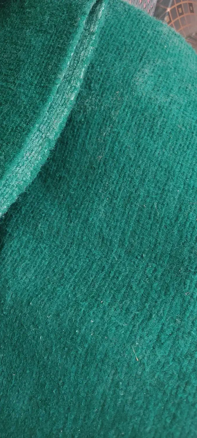 موکت سبز رنگ جنس خیلی خوب و ضخیم|موکت|همدان, |دیوار