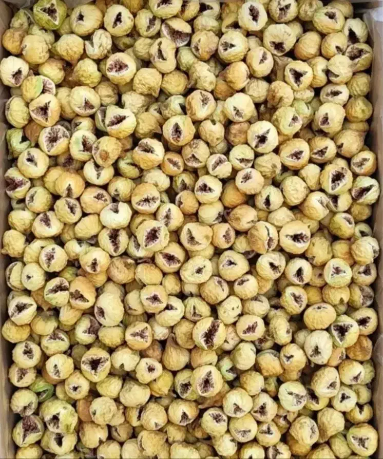 انجیر صدیک سایز درشت|خوردنی و آشامیدنی|استهبان, |دیوار