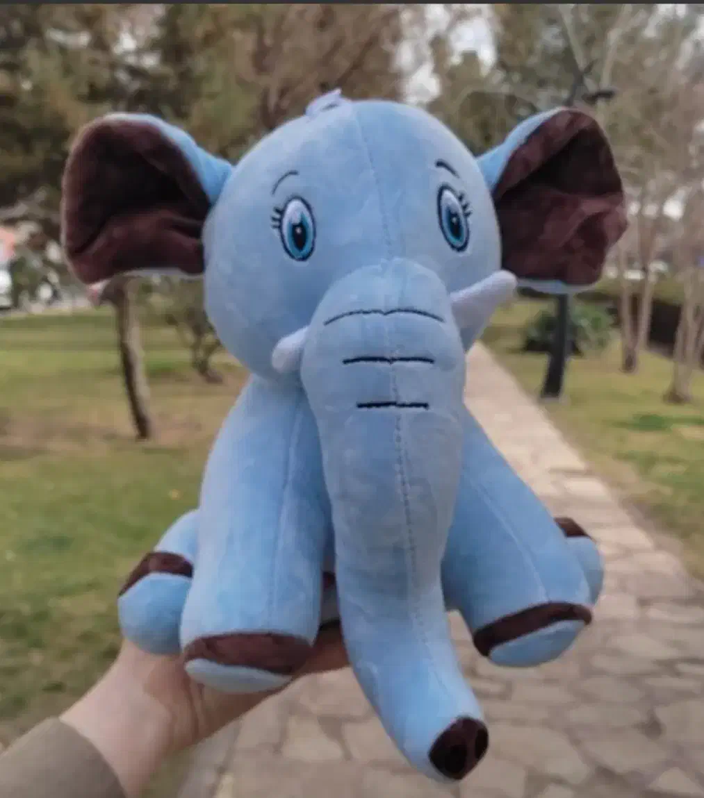 فیل گم شده|اشیا|ارومیه, |دیوار