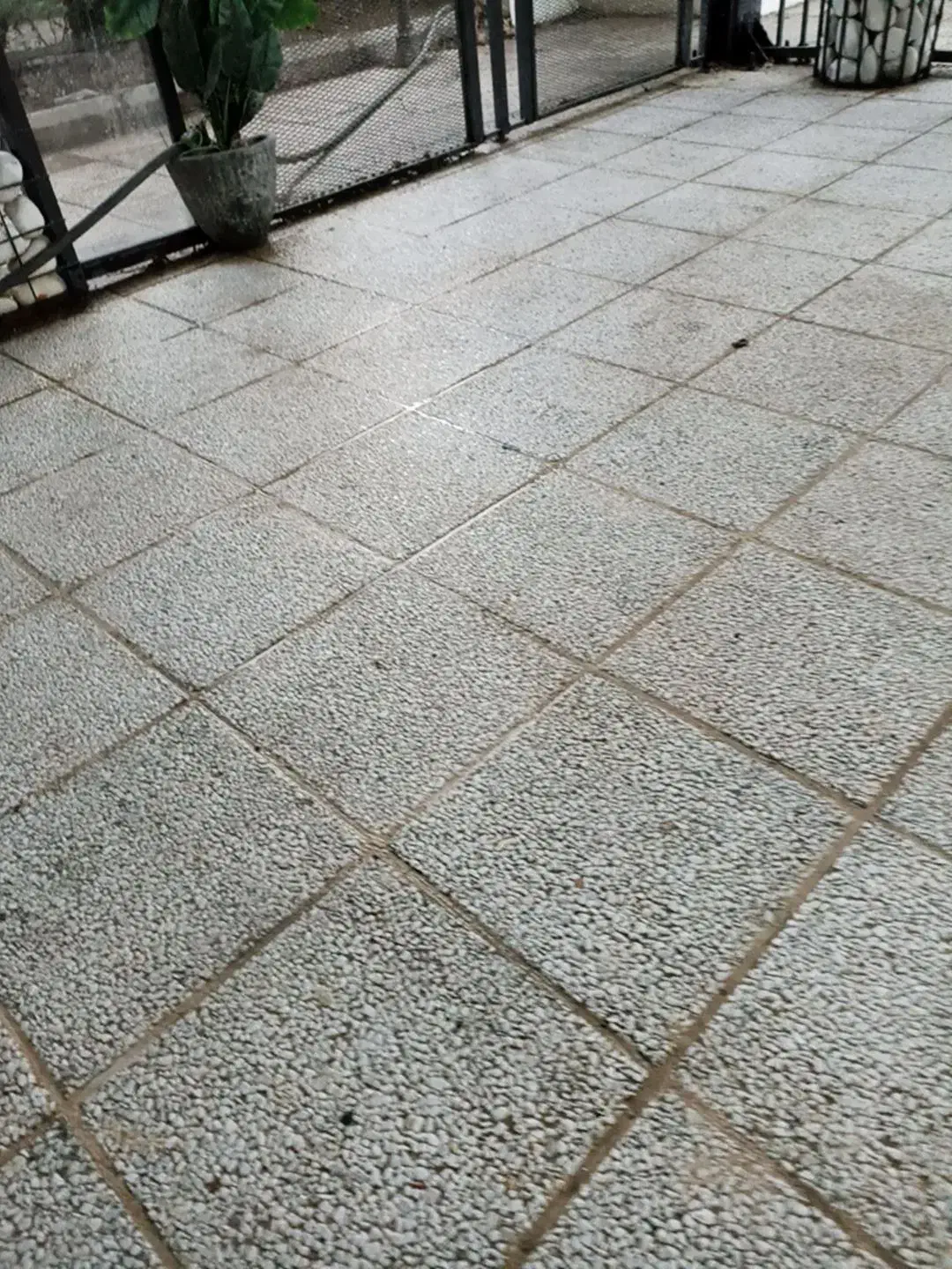 کفسابی|خدمات نظافت|تهران, بازار|دیوار