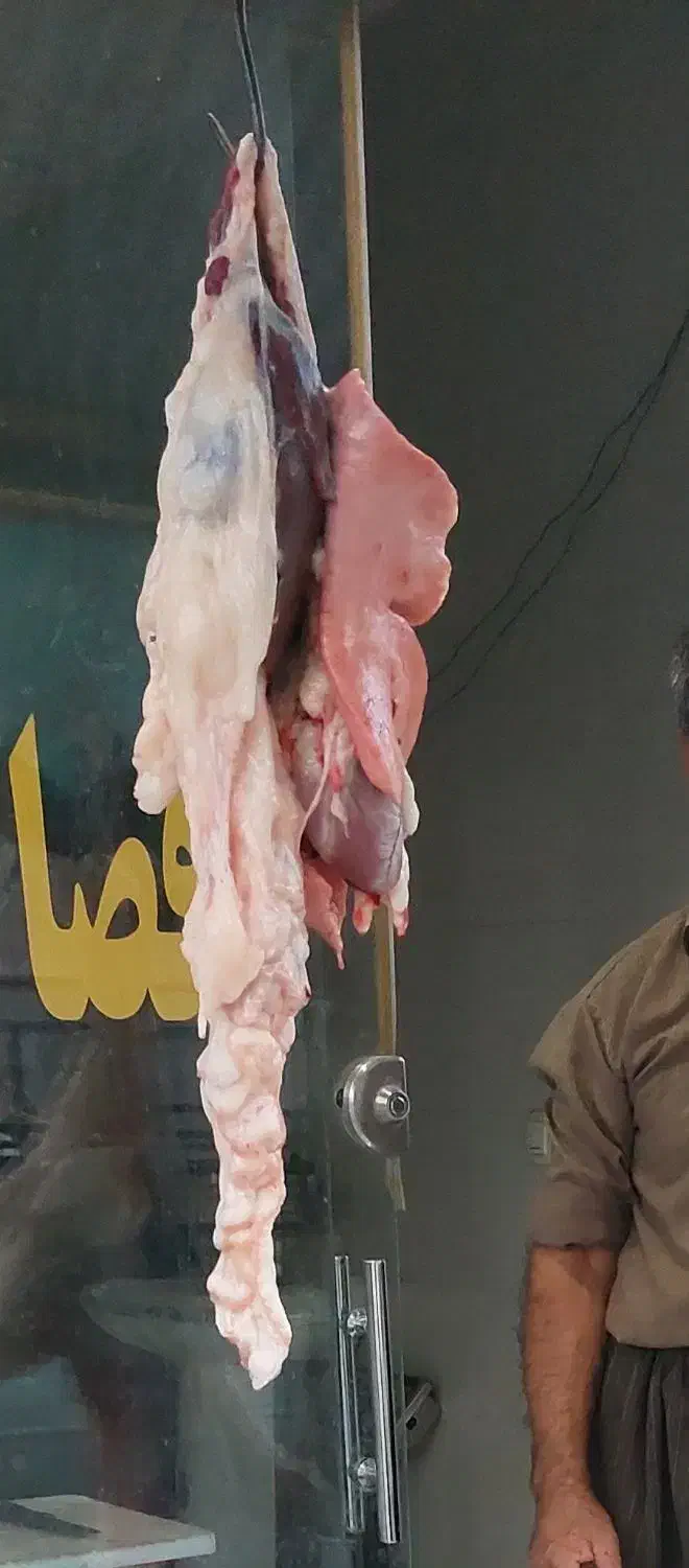 قصابی نمونه|خوردنی و آشامیدنی|پلدختر, |دیوار