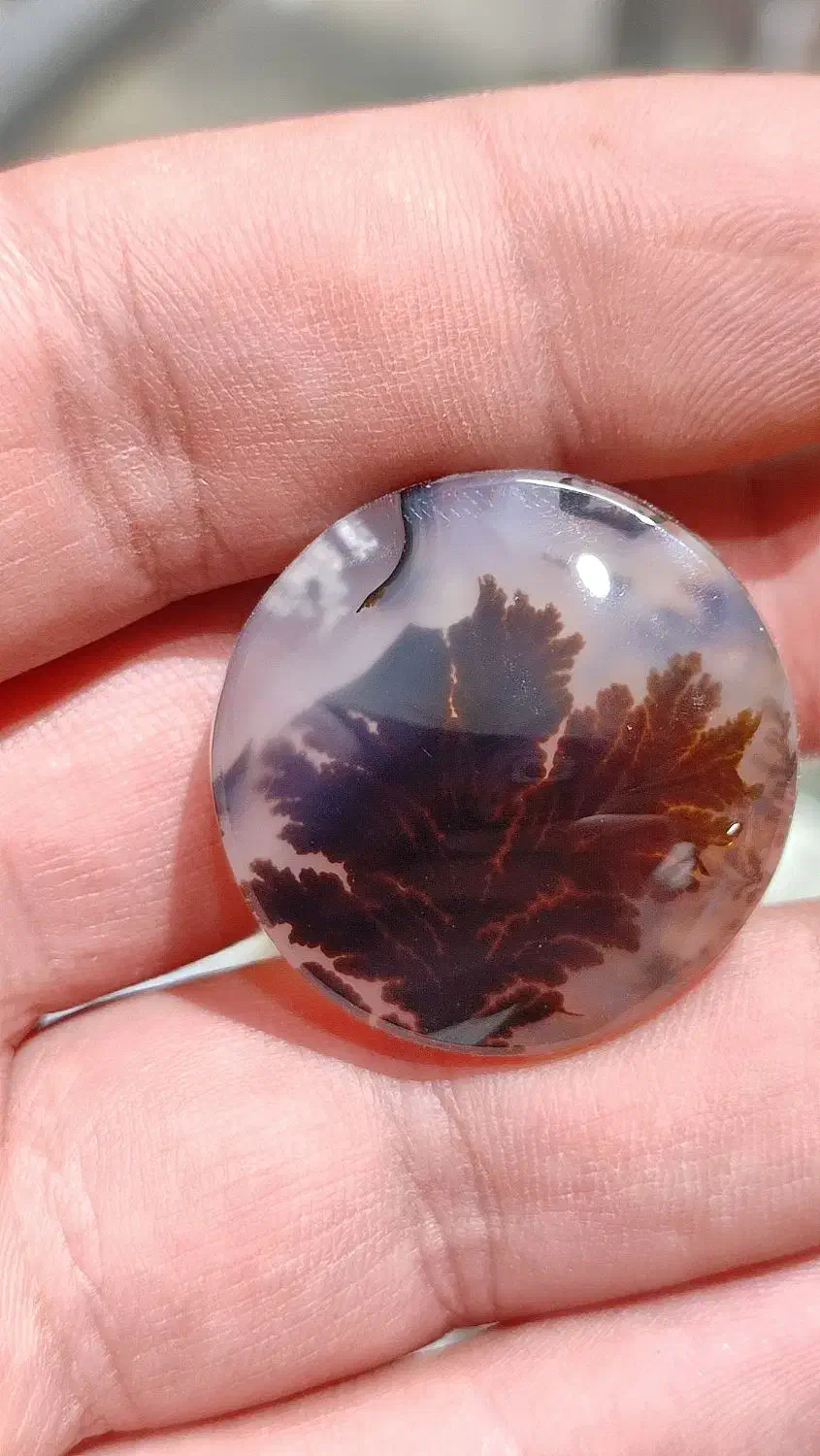 شجر کلکسیونی قاین|جواهرات|اصفهان, شهشهان|دیوار