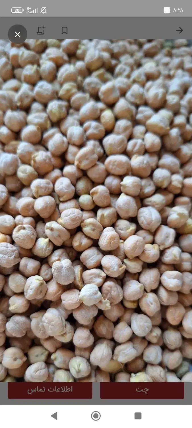 نخود|خوردنی و آشامیدنی|چگنی, |دیوار