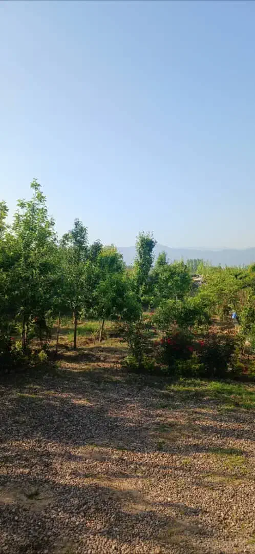 اجاره کوتاه مدت خونه ویلایی|اجارهٔ کوتاه‌مدت ویلا و باغ|رودبنه, |دیوار