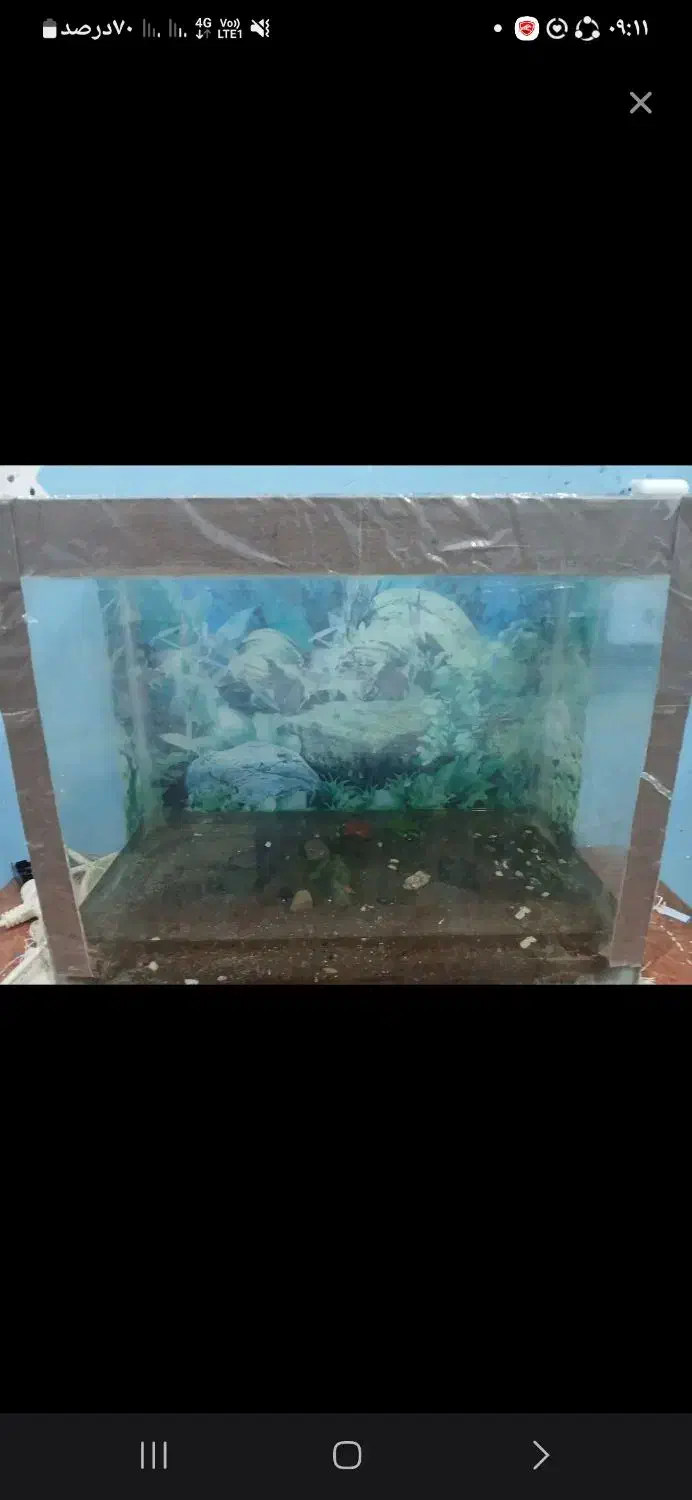 فروشی|ماهی|بندرعباس, |دیوار