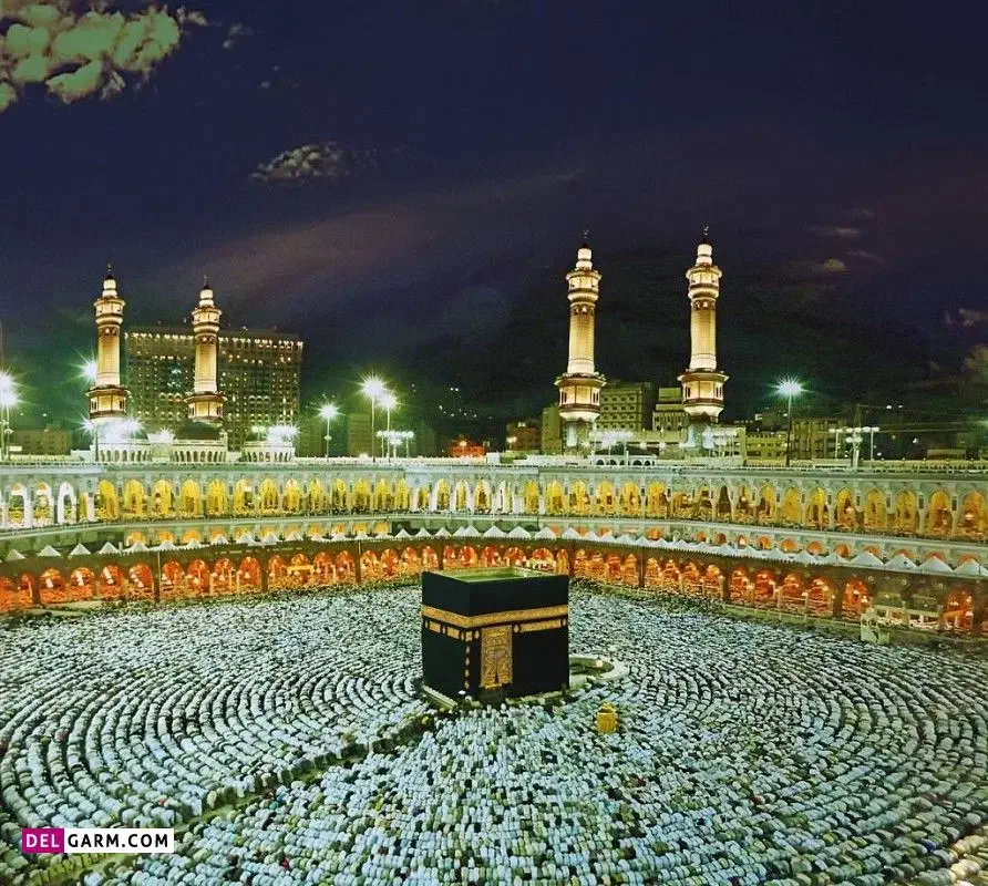 فروش دو عدد فیش حج تمتع به تاریخ ۱۳۸۶/۰۹/۲۸|تور و چارتر|نیریز, |دیوار