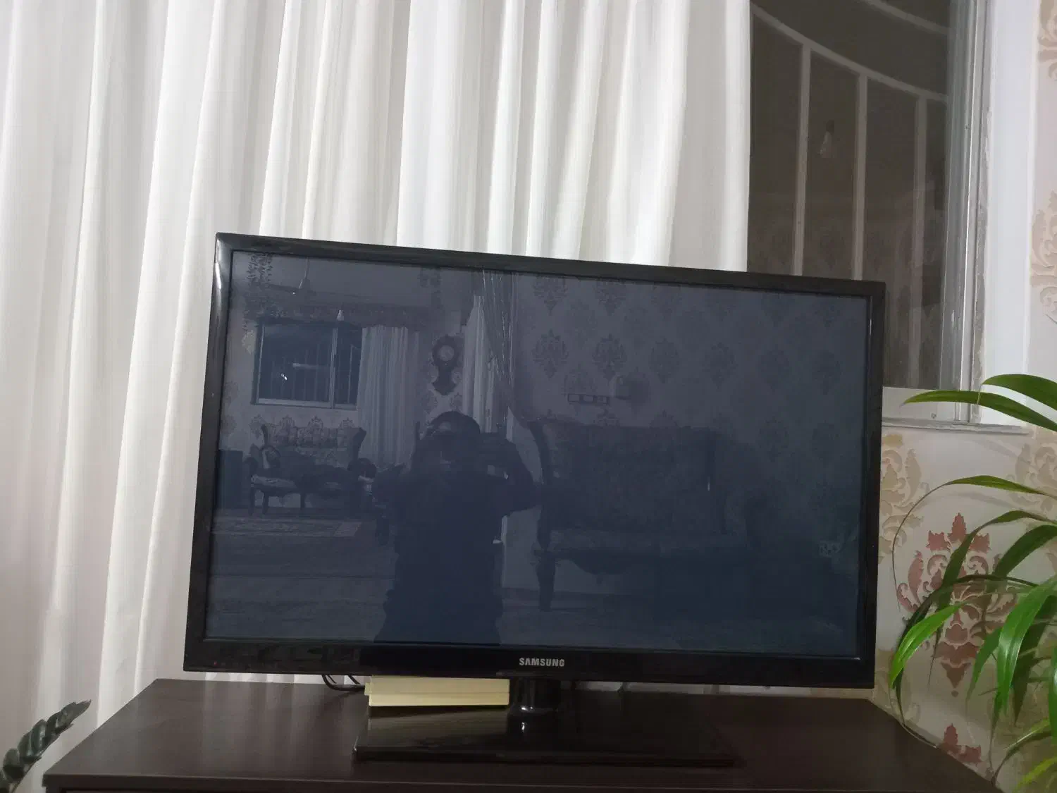 تلویزیون ۴۳|تلویزیون و پروژکتور|تنکابن, |دیوار