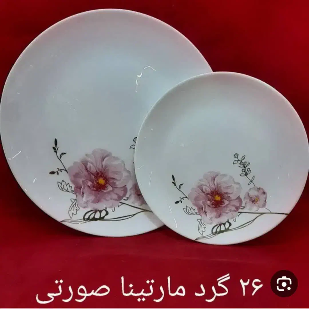 آرکوپال|ظروف سرو و پذیرایی|تهران, شوش (باغ آذری)|دیوار