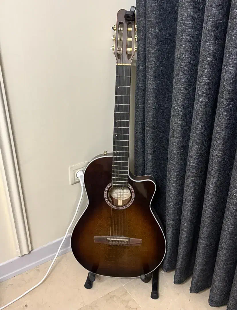 گیتار گلدن آرنا cw|گیتار، بیس، امپلیفایر|تهران, قبا|دیوار