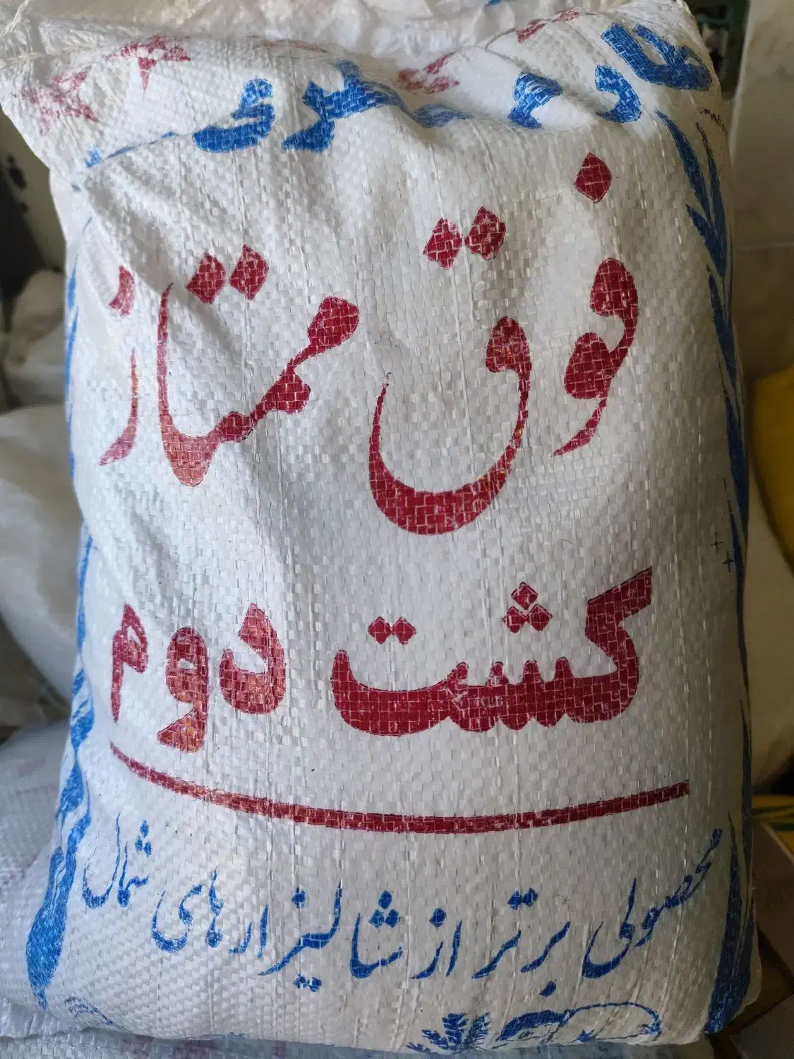 برنج به قیمت عمده مستقیم از شالیزار|خوردنی و آشامیدنی|مراغه, |دیوار