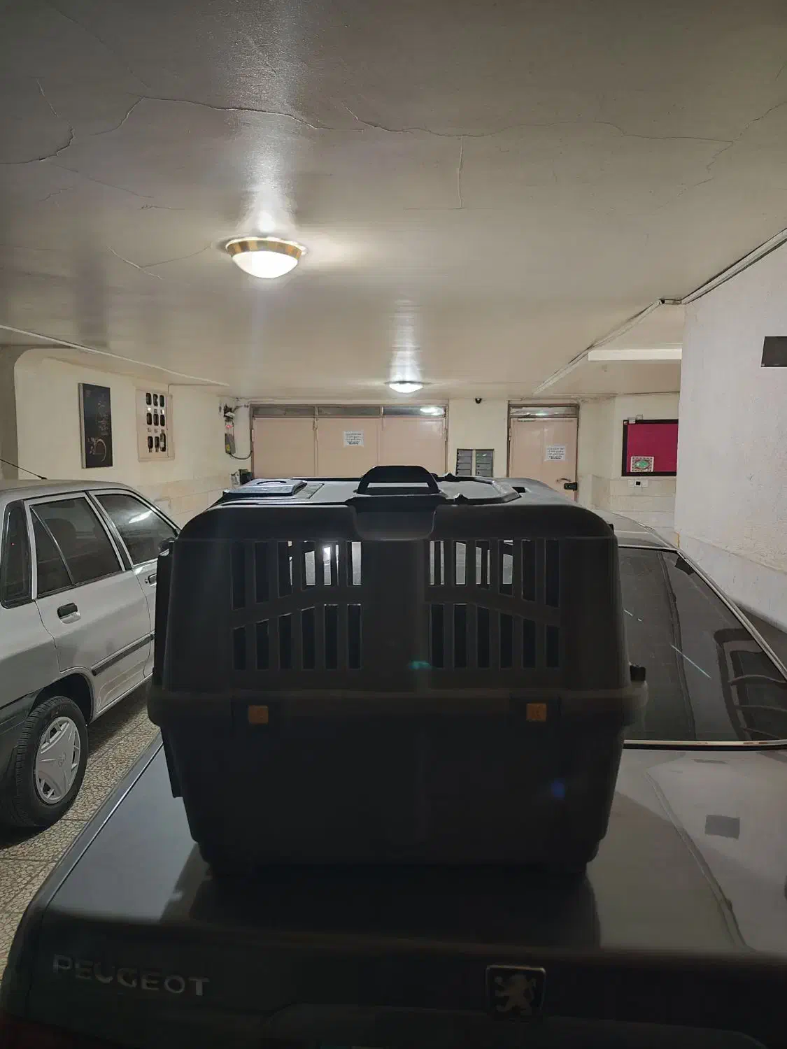 باکس حمل سگ و گربه|لوازم جانبی حیوانات|ری, حمزهآباد|دیوار