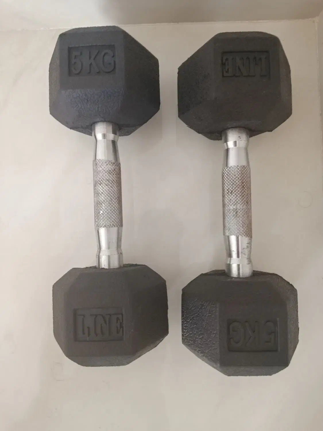 دمبل 5 کیلویی|تجهیزات ورزشی|آستارا, |دیوار