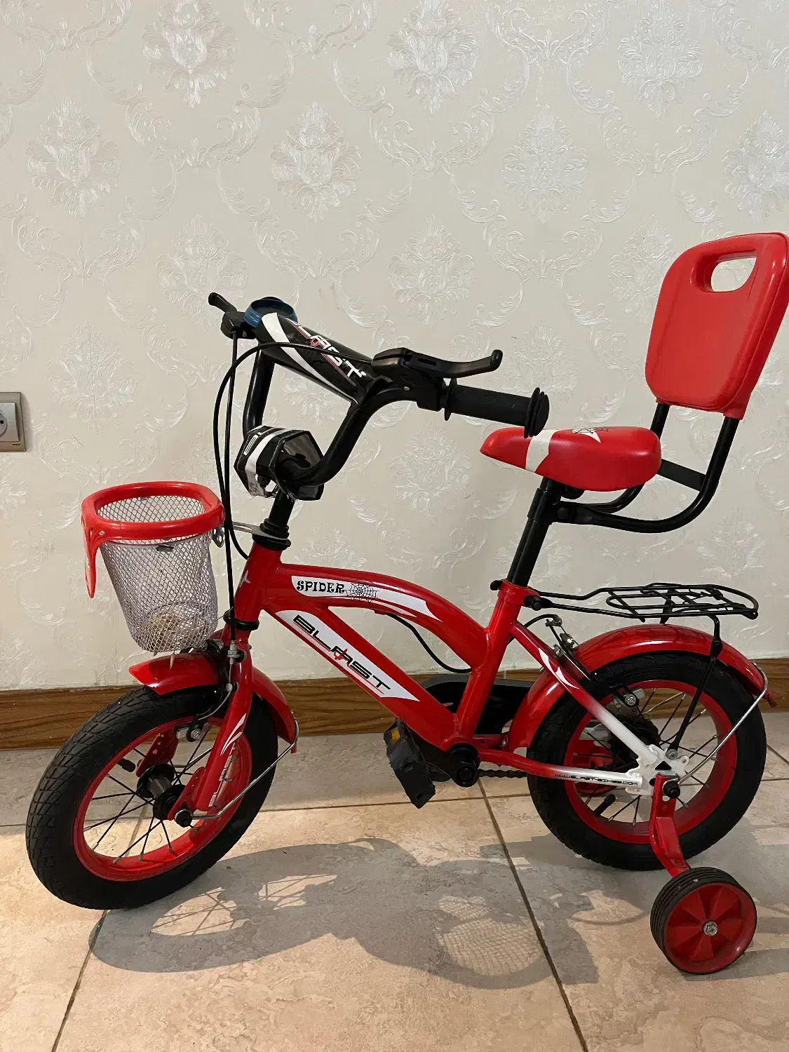 دوچرخه‌|دوچرخه، اسکیت، اسکوتر|رشت, کاکتوس|دیوار