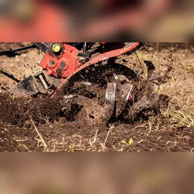 کلیه خدمات باغبانی و کشاورزی|خدمات باغبانی و درختکاری|مشهد, حرم مطهر رضوی|دیوار