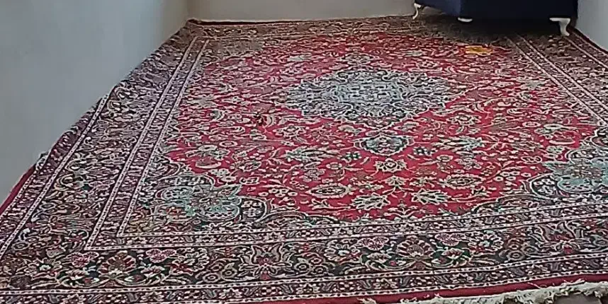 فرش 12متری|فرش|رشت, حمیدیان|دیوار