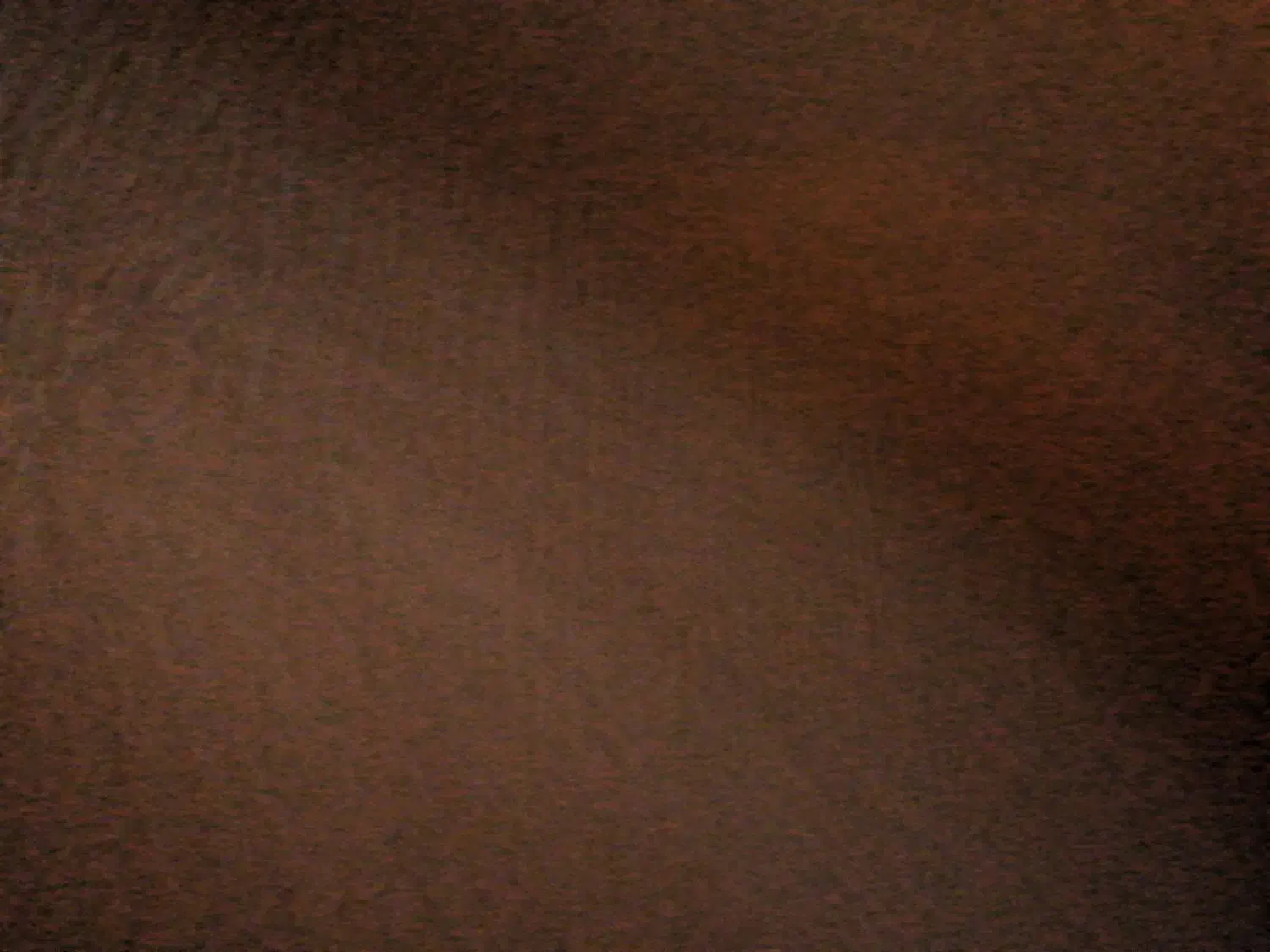 سرویس خواب و تشک|تخت و سرویس خواب|زرند, |دیوار