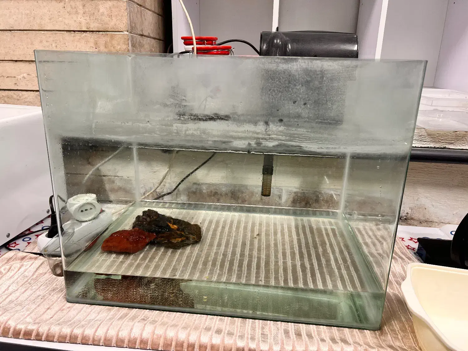 آکواریوم و تصویه آب|ماهی|تهران, جنت‌آباد مرکزی|دیوار