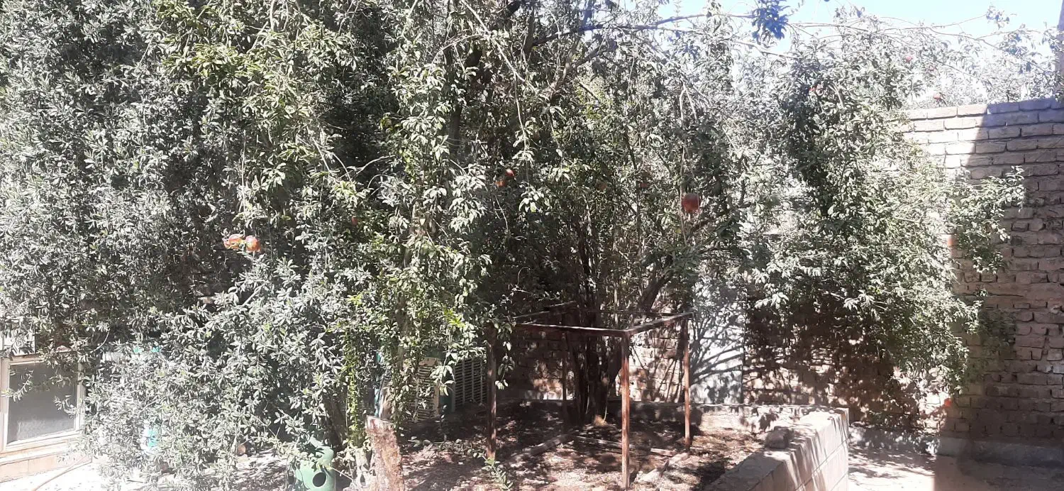 ملک تجاری ومسکونی  بر خیابان هفت تیر|فروش خانه و ویلا|قم, هفت تیر|دیوار