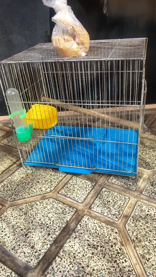 قفس|لوازم جانبی حیوانات|هشتگرد, شهرک راه آهن|دیوار