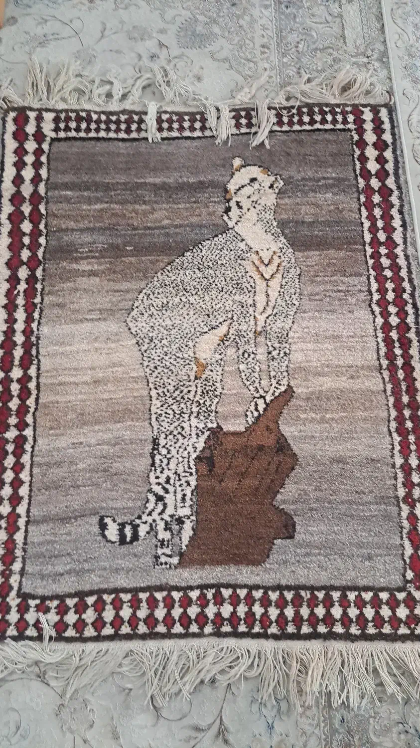 دستباف طرح دار|فرش|شیراز, گلکوب|دیوار