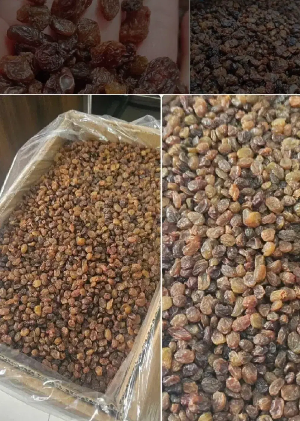 پلویی|خوردنی و آشامیدنی|ایرانشهر, |دیوار