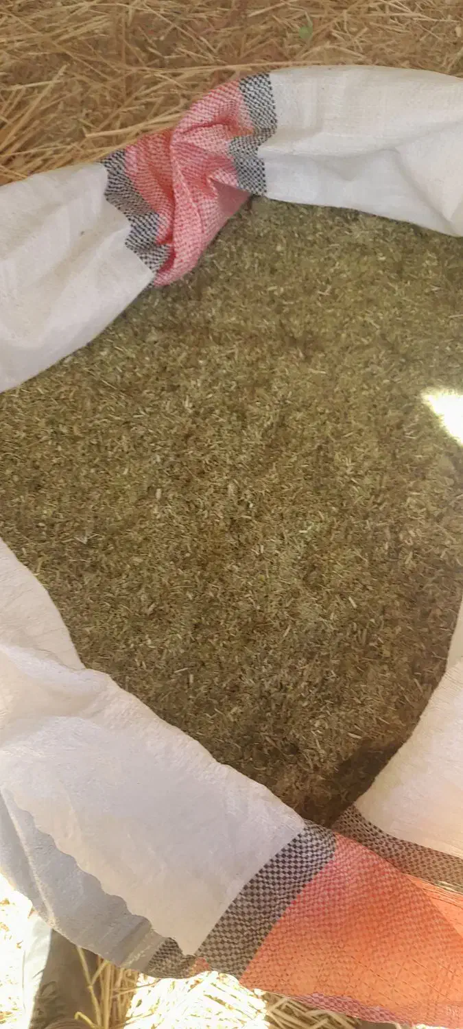 فروش کاه ماشک|حیوانات مزرعه|خانمیرزا, |دیوار