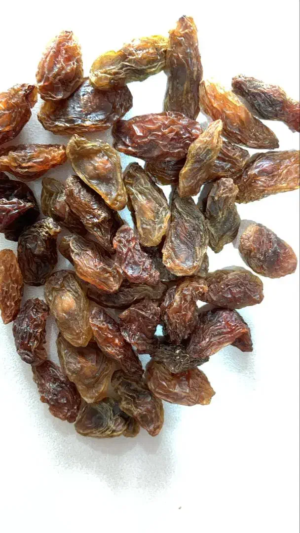 مویز و کشمش عمده|عمده‌فروشی|شیراز, شهرک گلستان|دیوار