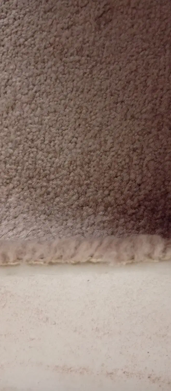 پالاز موکت|موکت|شوط, |دیوار