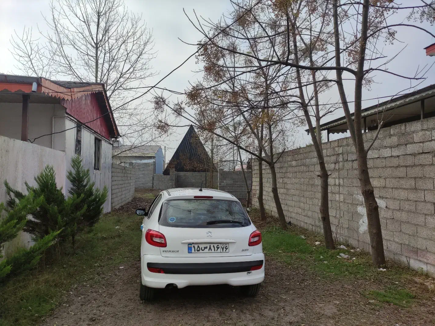 فروش زمین مسکونی تربگوده سند تک برگ دو کله (مالک)|فروش زمین و ملک کلنگی|بندر انزلی, تربه گوده|دیوار