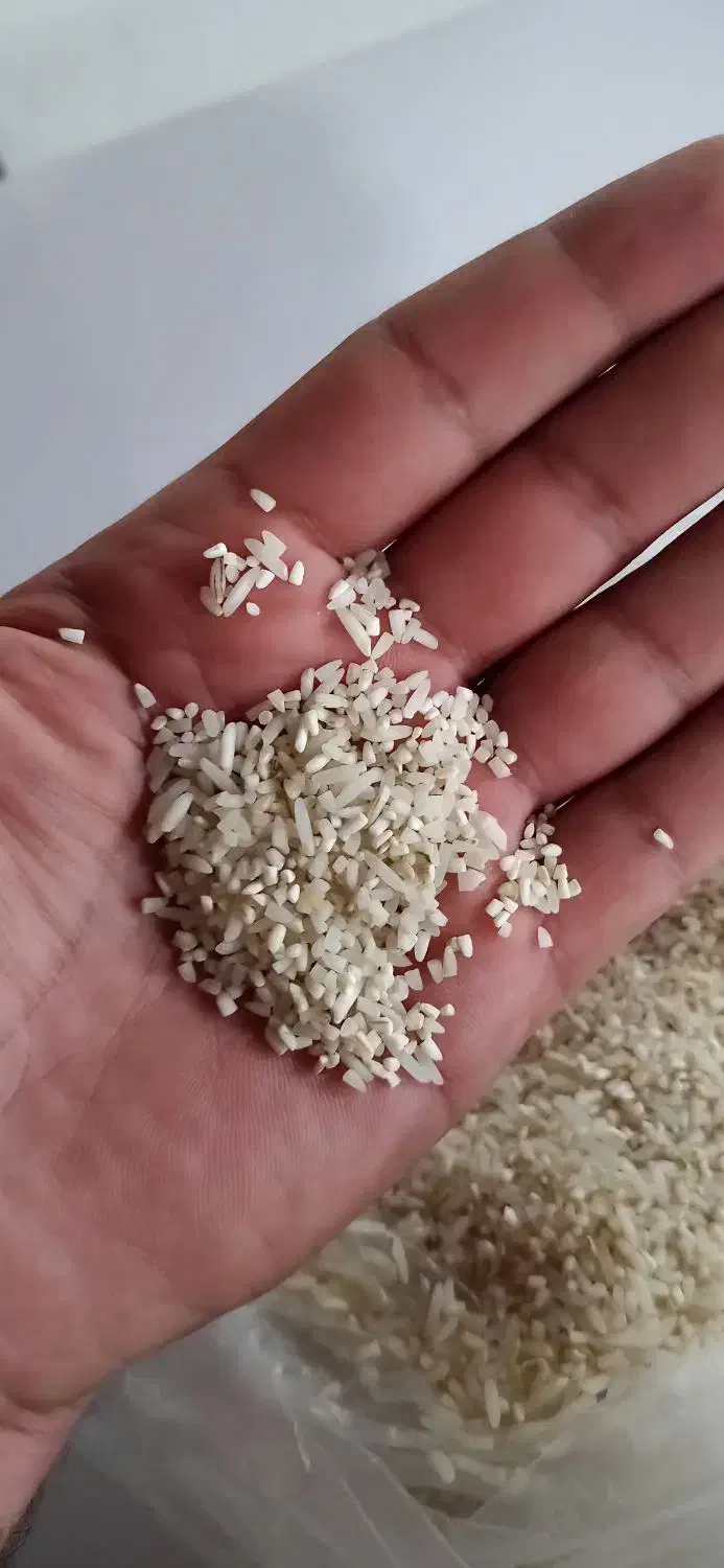 ۳۰ تن برنج چپا و ضایعات سورت شده با کیفیت|خوردنی و آشامیدنی|محمودآباد, |دیوار