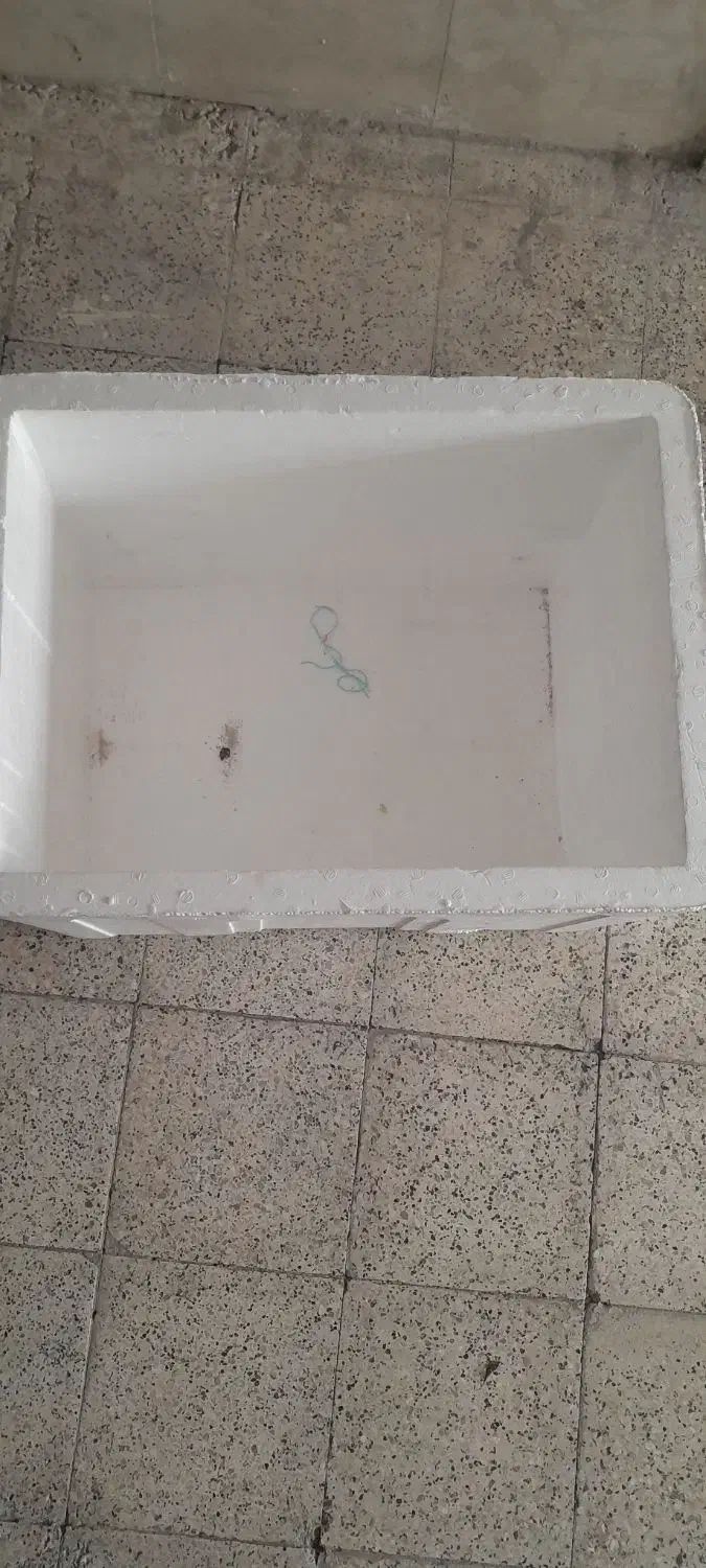 یخدان اکاسیو|ظروف نگهدارنده، پلاستیکی، یک‌بارمصرف|مشهد, تربیت (صدف)|دیوار