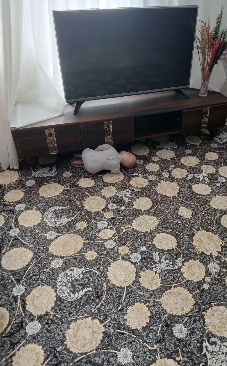 دو تخته فرش ۱۲ متری|فرش|مرودشت, ژیان|دیوار